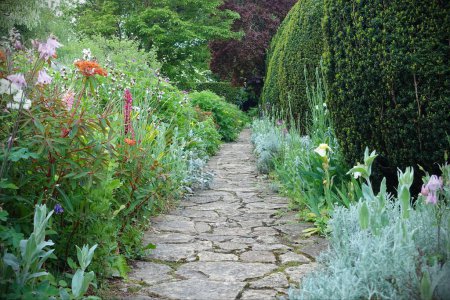 Photo for Scenic summertime view of a stone paved path through an attractive English style garden with colourful flowers in bloom and green leafy plants - Royalty Free Image