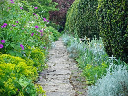 Foto de Escénica vista de verano de un camino pavimentado de piedra a través de un atractivo jardín de estilo inglés con flores de colores en flor y plantas de hojas verdes - Imagen libre de derechos