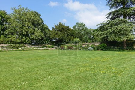 Téléchargez les photos : Vue panoramique d'un jardin paysager spacieux de style anglais attrayant avec une pelouse tondue à l'herbe fraîche - en image libre de droit