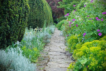 Photo for Scenic summertime view of a stone paved path through an attractive English style garden with colourful flowers in bloom and green leafy plants - Royalty Free Image