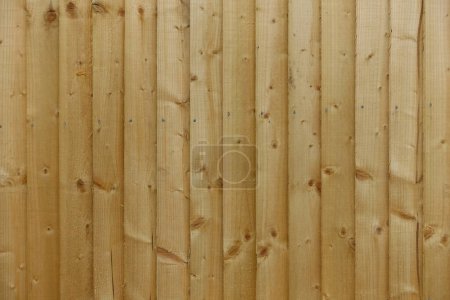 Foto de Vista de cerca de los nuevos paneles de valla de madera - Imagen libre de derechos