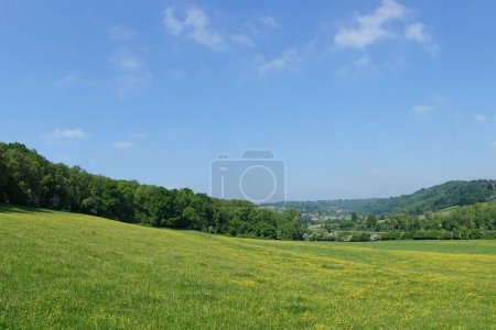 Téléchargez les photos : Vue panoramique panoramique panoramique d'un champ verdoyant dans une vallée avec des fleurs jaunes et un ciel bleu au-dessus - à savoir la vallée de l'Avon sur la frontière du Wiltshire Somerset près de Bath en Angleterre - en image libre de droit