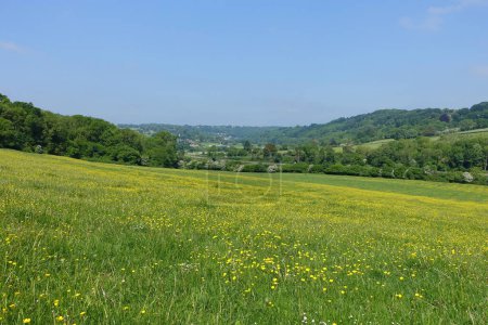 Scenic panoramic landscape view of a green field in a valley with yellow buttercup flowers and a blue sky above - namely the Avon Valley on the Wiltshire Somerset border near Bath in England