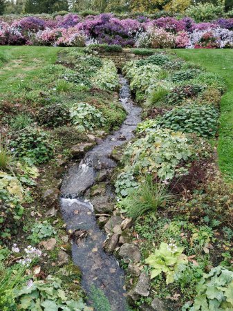 Téléchargez les photos : Vue panoramique d'un ruisseau traversant un beau jardin paysager avec des fleurs en fleurs et des plantes feuillues - en image libre de droit