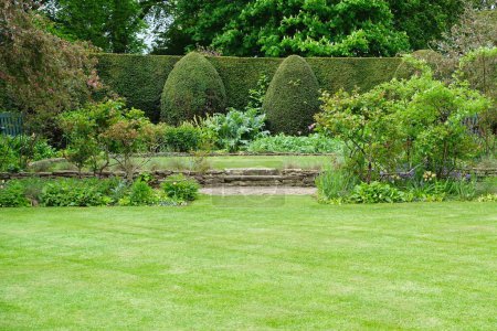 Foto de Vistas panorámicas de un atractivo jardín paisajístico de estilo inglés con césped cortado con césped fresco - Imagen libre de derechos