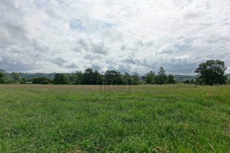Landschaftspanorama von einem grünen Feld in einem Tal mit gelben Ranunkelblüten und einem blauen Himmel darüber - nämlich dem Avon Valley an der Grenze zu Wiltshire Somerset in der Nähe von Bath in England