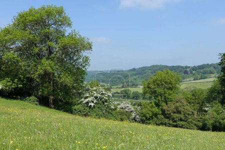 Scenic panoramic landscape view of a green field in a valley with yellow buttercup flowers and a blue sky above - namely the Avon Valley on the Wiltshire Somerset border near Bath in England