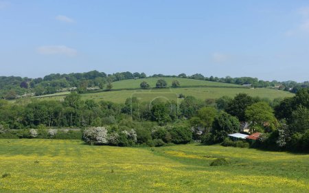 Vue panoramique panoramique panoramique d'un champ verdoyant dans une vallée avec des fleurs jaunes et un ciel bleu au-dessus - à savoir la vallée de l'Avon sur la frontière du Wiltshire Somerset près de Bath en Angleterre