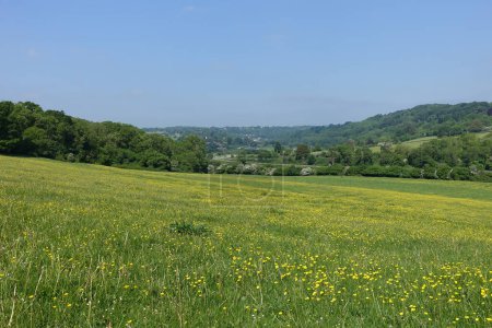 Téléchargez les photos : Vue panoramique panoramique panoramique d'un champ verdoyant dans une vallée avec des fleurs jaunes et un ciel bleu au-dessus - à savoir la vallée de l'Avon sur la frontière du Wiltshire Somerset près de Bath en Angleterre - en image libre de droit