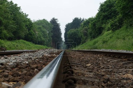 Foto de Scenic view of long straight railway tracks running through countryside with leafy trees - Imagen libre de derechos