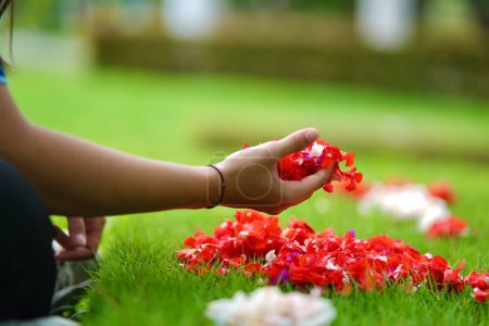Eine Person sät rote, weiße und lila Blütenblätter auf grünem Gras (in der javanischen / indonesischen Kultur auch als Nyekar bekannt)).