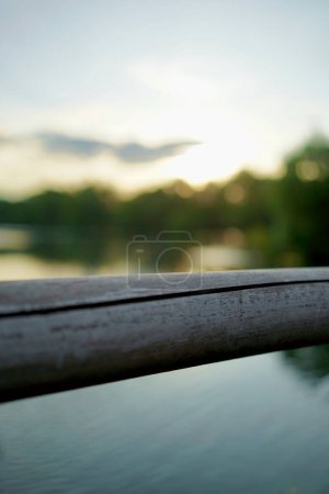 A close up of bamboo bridge handle. Coastal area with clear sky and dense mangrove vegetation on the background. The glimpse of clear ocean make an appearance within the frame. Photographed during golden hour.