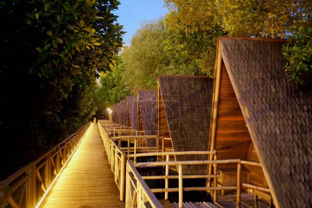 Multiple lodging in the coastal area (mangrove forest), illuminated with warm led lights in the afternoon.