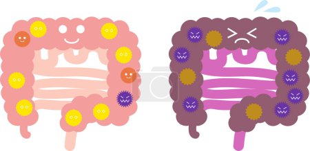 Illustration for Illustration of intestinal flora / good and bad conditions - Royalty Free Image