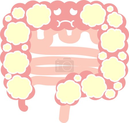 Ilustración de Clip arte de los intestinos (abultamiento del vientre) Órganos internos Órganos digestivos - Imagen libre de derechos