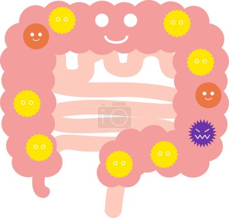 Téléchargez les illustrations : Illustration d'une flore intestinale équilibrée - en licence libre de droit