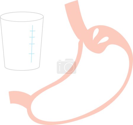 Illustration for Barium examination Illustration of an examination of the stomach - Royalty Free Image