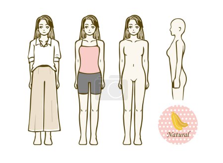 Illustration for Skeletal structure diagnosis Clothes that suit skeletal structure natural - Royalty Free Image