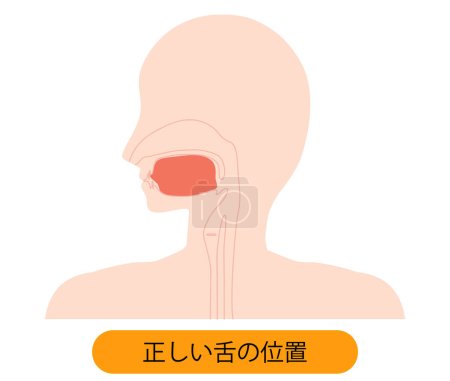 Illustration for Illustration of correct tongue position - Royalty Free Image