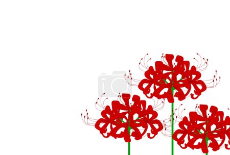 Illustration for Vector illustration of a floral background with flowers,cluster amaryllis - Royalty Free Image
