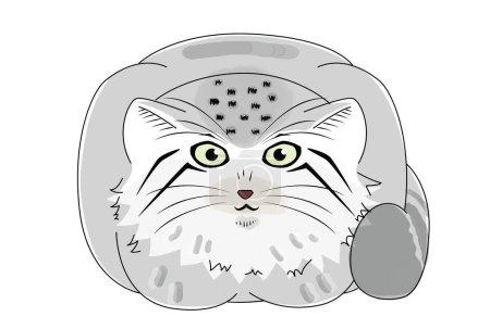 Téléchargez les illustrations : Ceci est une illustration d'un chat manul assis dans un tonneau avec les mains pliées nous regardant. - en licence libre de droit