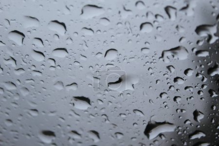 Téléchargez les photos : Gouttes de pluie sur le verre - en image libre de droit