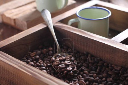 Téléchargez les photos : Un grain de café est une graine de la plante Coffea et la source de café. C'est le pépin à l'intérieur du fruit rouge ou violet. Ce fruit est souvent appelé une cerise de café. Tout comme les cerises ordinaires, le fruit du café est aussi un soi-disant fruit à noyau. - en image libre de droit