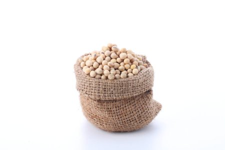 Foto de Semillas de soja orgánica cruda en un tazón blanco aislado sobre un fondo - Imagen libre de derechos