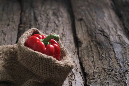 Photo for A red pepper in the background of the bark - Royalty Free Image