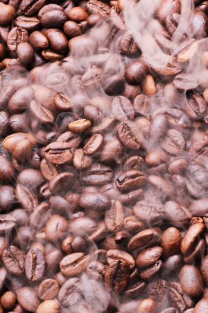 Photo for A coffee bean is a seed of the Coffea plant and the source for coffee. It is the pip inside the red or purple fruit. This fruit is often referred to as a coffee cherry. - Royalty Free Image
