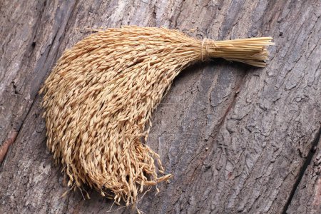 Photo for Dry straw and spikelets in the form of wheat on wooden background. selective focus. - Royalty Free Image