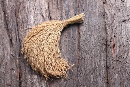 Téléchargez les photos : Épis secs de blé sur fond de bois - en image libre de droit