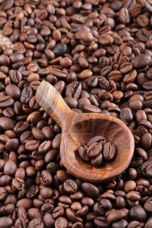Téléchargez les photos : Un grain de café est une graine de la plante Coffea et la source de café. C'est le pépin à l'intérieur du fruit rouge ou violet. Ce fruit est souvent appelé une cerise de café. Tout comme les cerises ordinaires, le fruit du café est aussi un soi-disant fruit à noyau. - en image libre de droit