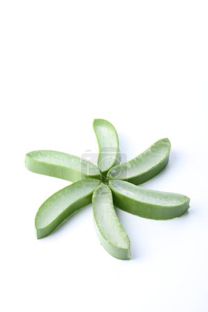 Foto de Aloe fresco sobre fondo blanco - Imagen libre de derechos