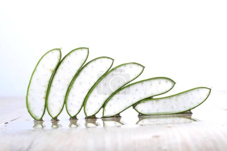 Foto de Aloe fresco sobre fondo blanco - Imagen libre de derechos