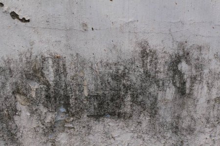 Téléchargez les photos : Fond de texture grunge, motif abstrait, mur gris - en image libre de droit