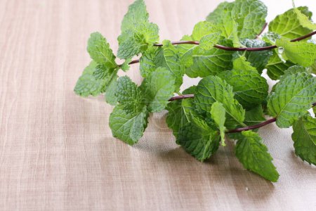 Photo for Fresh mint leaves on the table. - Royalty Free Image