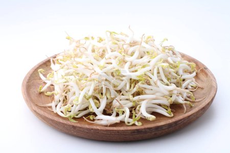 fresh organic sprouts on a white background