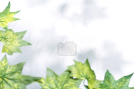 Photo for Green leaves, flora and foliage - Royalty Free Image