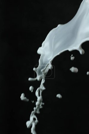 Téléchargez les photos : Éclaboussure de lait isolé sur fond noir avec chemin de coupe. - en image libre de droit