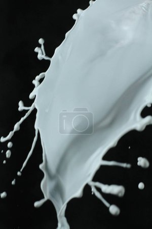 Photo for Splash of milk on black background - Royalty Free Image