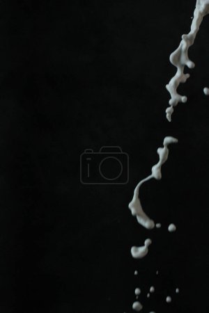 Photo for White milk in the black background - Royalty Free Image