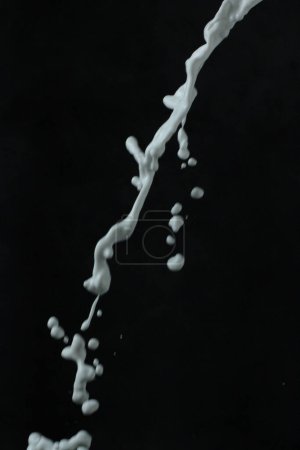 Téléchargez les photos : Éclaboussures de lait sur fond noir
. - en image libre de droit