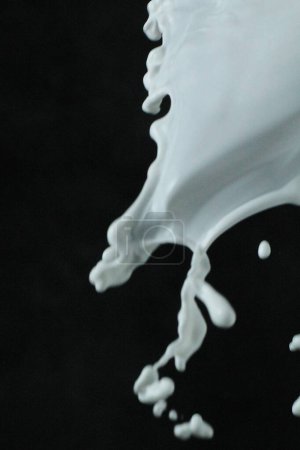 Téléchargez les photos : Éclaboussure de lait sur fond noir - en image libre de droit