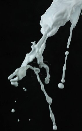 Téléchargez les photos : Éclaboussure de lait blanc - en image libre de droit