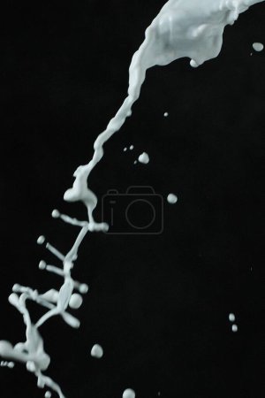 Photo for Milk splash on black background - Royalty Free Image