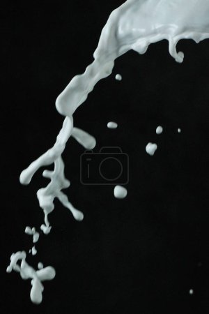 Téléchargez les photos : Éclaboussure de lait noir isolé sur fond noir - en image libre de droit