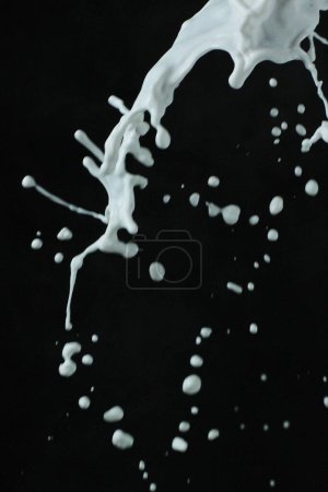Photo for Splash of milk on the black background - Royalty Free Image