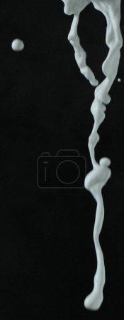 Photo for Splashing milk on black background - Royalty Free Image