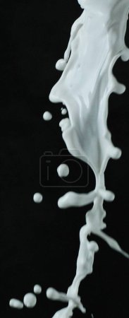 Photo for Splashing milk in black background. abstract milk splash - Royalty Free Image